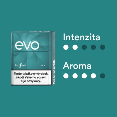 EVO Teal krabička