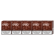 EVO Bronze karton