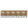 EVO Gold karton