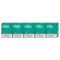 EVO Green karton