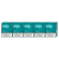 EVO Teal karton