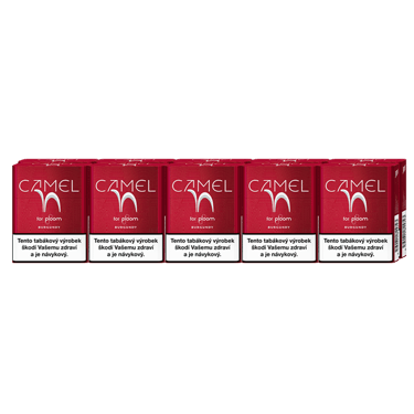 Karton Camel náplní Burgundy