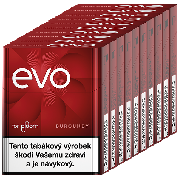 EVO Burgundy karton